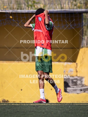 Detalhes da foto #1663952