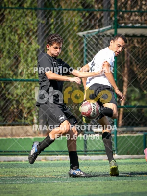 Detalhes da foto #1431351
