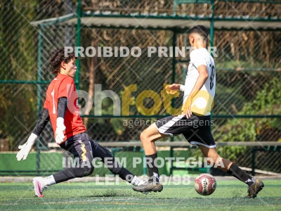 Detalhes da foto #8404926