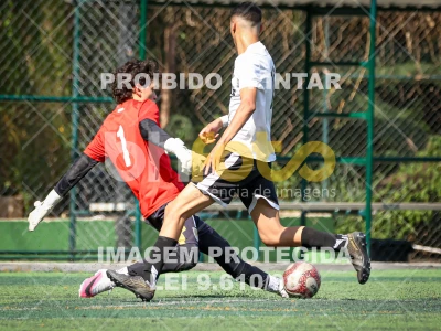 Detalhes da foto #3382923