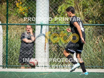 Detalhes da foto #2248057
