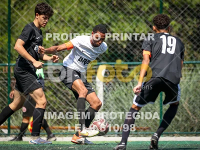 Detalhes da foto #8672795