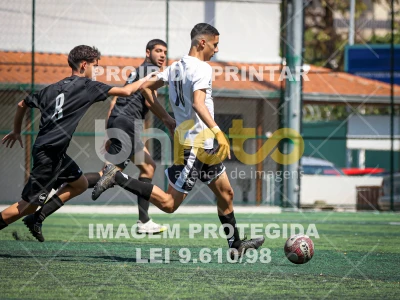 Detalhes da foto #8212339