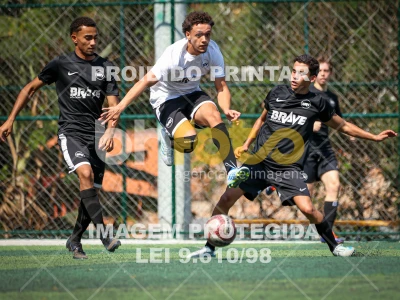 TIGERS X SHARKS - BRAVE LEAGUE