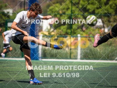 Detalhes da foto #7926073