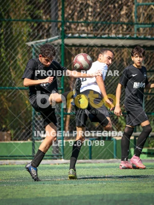 Detalhes da foto #9565775