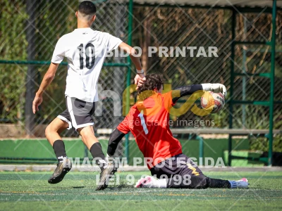 Detalhes da foto #9902080