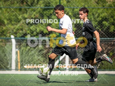 Detalhes da foto #6175342