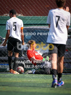 Detalhes da foto #3305078