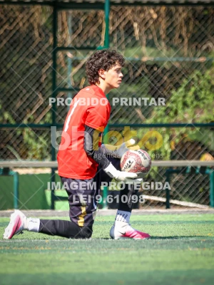 Detalhes da foto #9264903