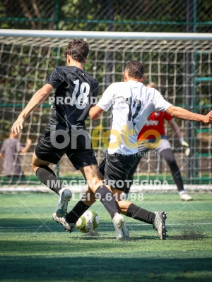 Detalhes da foto #7817935