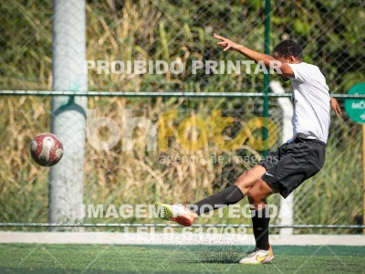 Detalhes da foto #1649232