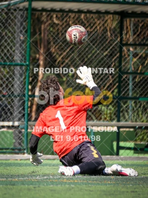 Detalhes da foto #8314911