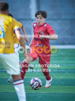 Detalhes da foto #38716