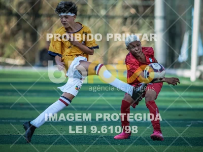 Detalhes da foto #35390