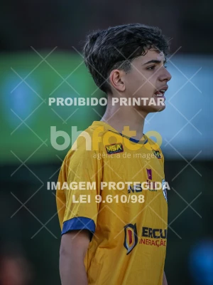 Detalhes da foto #67915