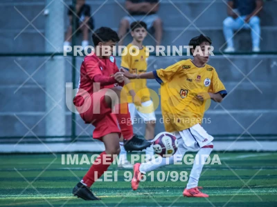 Detalhes da foto #19245