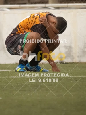 Detalhes da foto #2649550