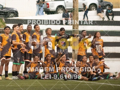 Detalhes da foto #8002917