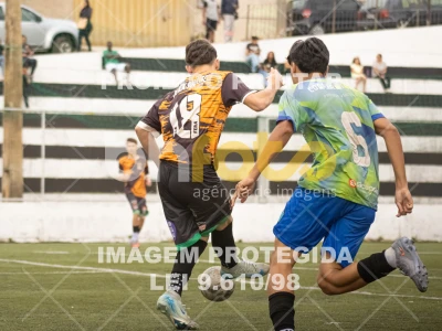 Detalhes da foto #8831849