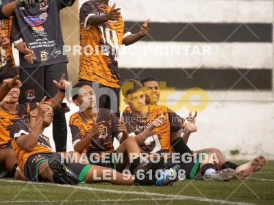 Detalhes da foto #1642699