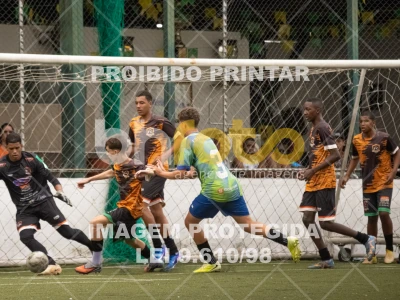 Detalhes da foto #7335107