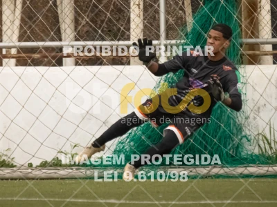 Detalhes da foto #6686382
