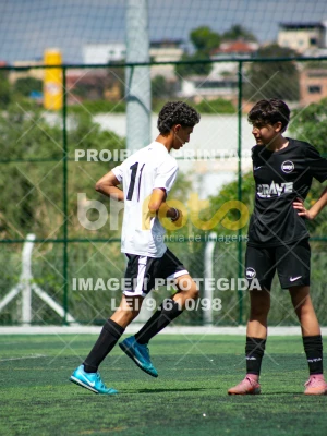 Detalhes da foto #5529537