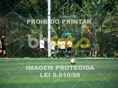 Detalhes da foto #8568103