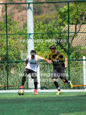 Detalhes da foto #4981332