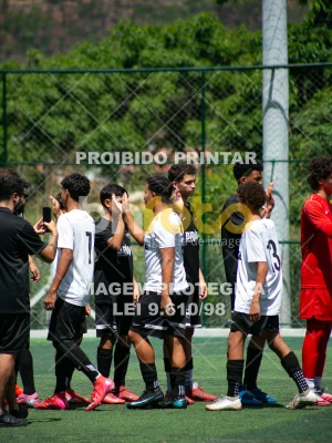 Detalhes da foto #4089270