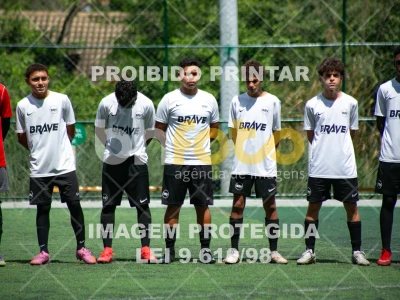 Detalhes da foto #4405717