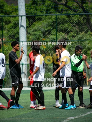 Detalhes da foto #8387575