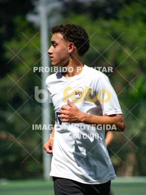 Detalhes da foto #3477882