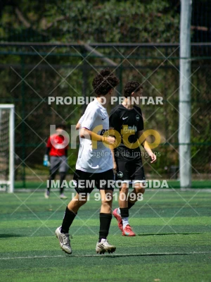 Detalhes da foto #3625236