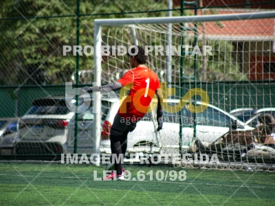 Detalhes da foto #6344662