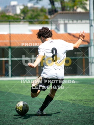 Detalhes da foto #2856856