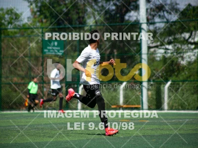 FALCONS X TIGERS - BRAVE LEAGUE