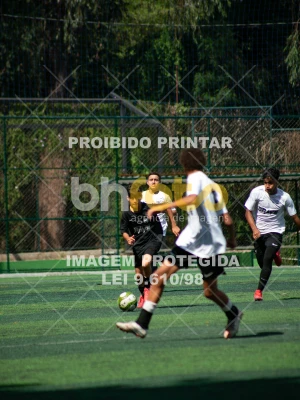 Detalhes da foto #3986252