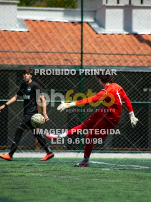 Detalhes da foto #6278132