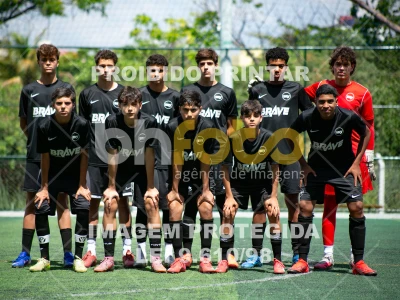 Detalhes da foto #8385070