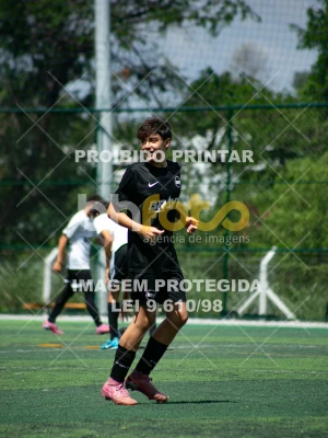 Detalhes da foto #4587365