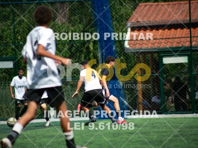 Detalhes da foto #3978385