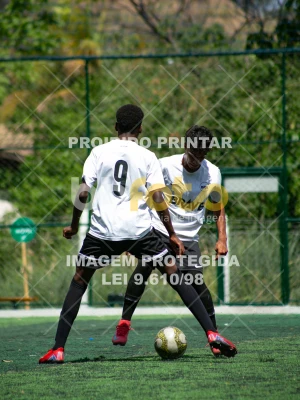 Detalhes da foto #4400002