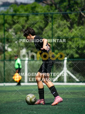 Detalhes da foto #4564894