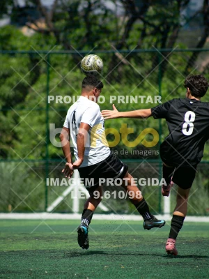 Detalhes da foto #8317247