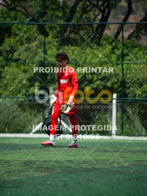Detalhes da foto #7241008