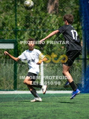 Detalhes da foto #8231843