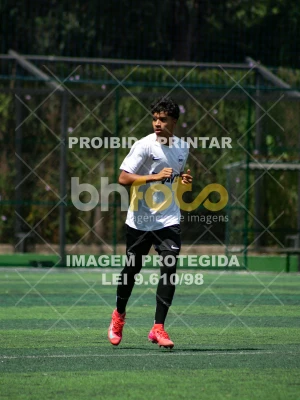 Detalhes da foto #3629358