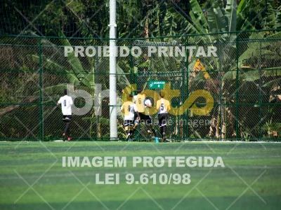 Detalhes da foto #4433626